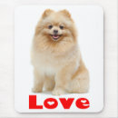 Search for pomeranian mousepads Puppy