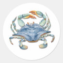 Search for beach life stickers Crab