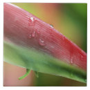 Search for water drop tiles Abstract
