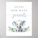 Search for guess how many peanuts Floral