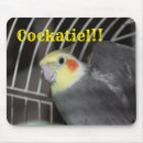 Search for beaks electronics Bright