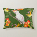 Search for big bird cushions Drawing