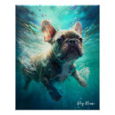 Search for swimming in water posters Animals