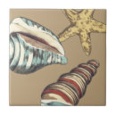 Search for blue sea shell tiles Starfish