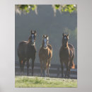 Search for three quarter posters Bob langrish