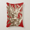 Search for coral sea cushions Sealife