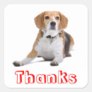 Search for cute beagle stickers Puppy