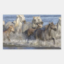 Search for free horse stickers Running