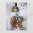 Search for dog bed postcards Funny