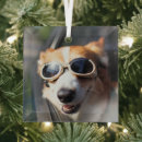 Search for welsh christmas tree decorations Pet