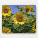 Search for provence mousepads Van