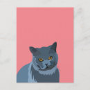 Search for cat lovers postcards Pet