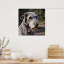 Search for wolfhound art Pet