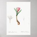 Search for vintage spring flowers posters Botanical
