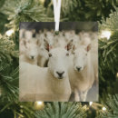 Search for lamb christmas tree decorations Farm animal