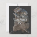 Search for british shorthair cards Cat