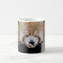 Search for red panda coffee mugs Photography