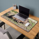 Search for snap mousepads Photography