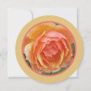 Search for rose colored cards Photography