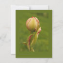 Search for spring bud postcards Floral