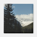 Search for overlook magnets Nature