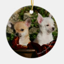 Search for biting christmas tree decorations Dog