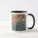 Search for provo mugs Aspen