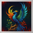 Search for phoenix bird posters Colourful