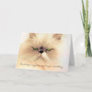 Search for grumpy cat cards Kitty