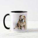 Search for pet sitting mugs Studio shot