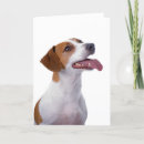 Search for perky Dog