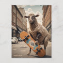 Search for funny sheep postcards Unique