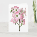 Search for blossom blank cards Blossoms