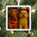 Search for photograph christmas tree decorations Create your own