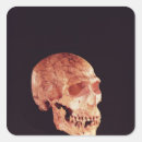 Search for evolution of man stickers Primitive