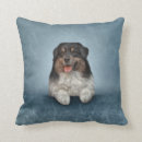 Search for australian shepherd cushions Canine