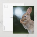 Search for frohe postcards Cute