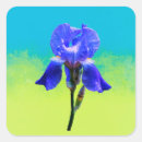 Search for iris stickers Flower