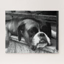 Search for boxer dog puzzles Canine
