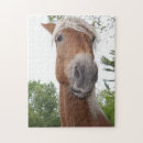 Search for silly puzzles Animal