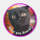 Search for stickers magnets Cat