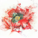 Search for watercolor graphic stickers Elegant