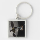 Search for linked key rings Linking
