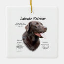 Search for yellow lab christmas tree decorations Dog lover