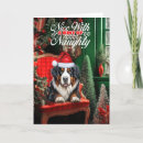 Search for bernese mountain dog christmas cards Dogs