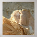 Search for fantail posters Pigeon