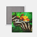 Search for orange and black magnets Photography