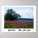 Search for stuart posters Nature