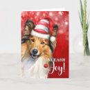 Search for shetland sheepdog christmas cards Dogs