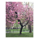 Search for cherry tree art Trees